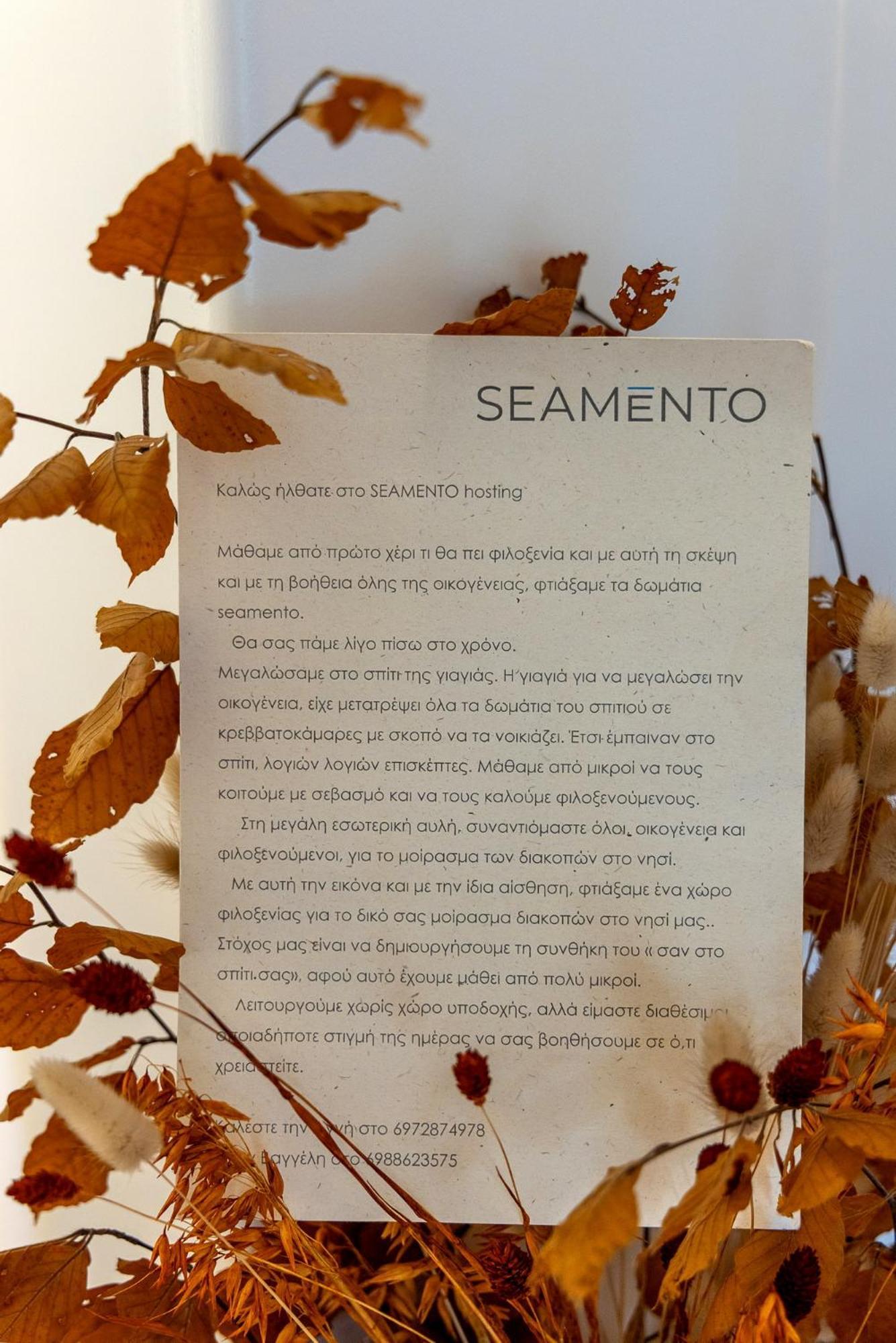 Seamento Suites Тинос Екстериор снимка